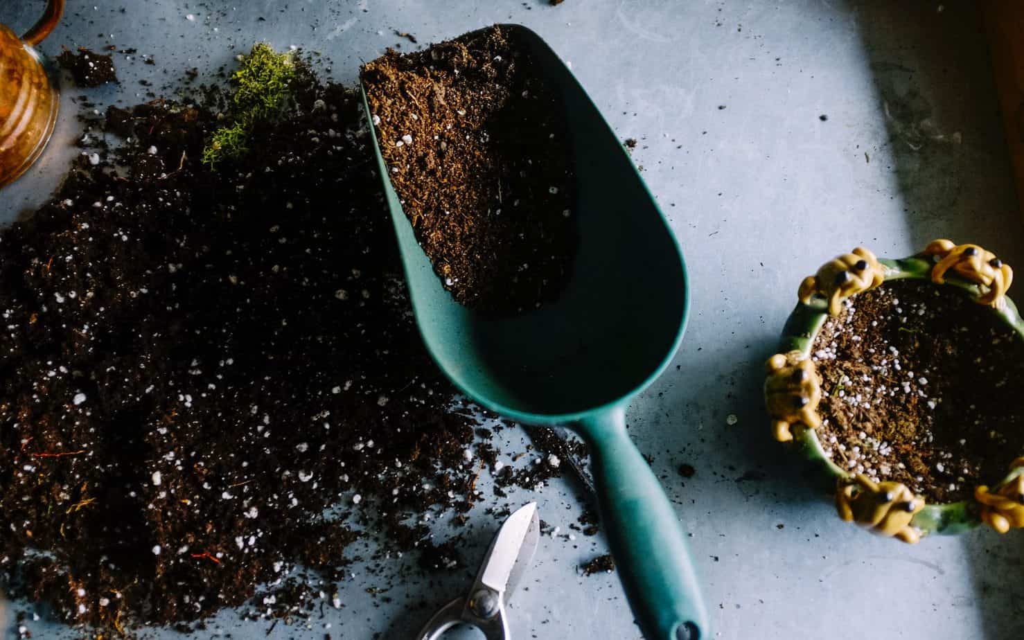 Gardening tools | Slow FI lifestyle | Late Starter to FI Series #27