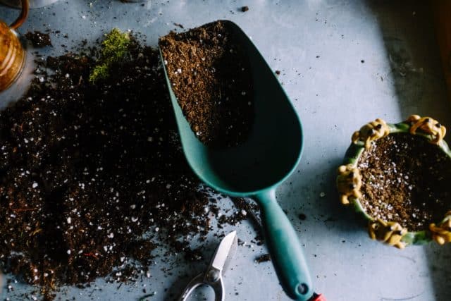 Gardening tools | Slow FI lifestyle | Late Starter to FI Series #27