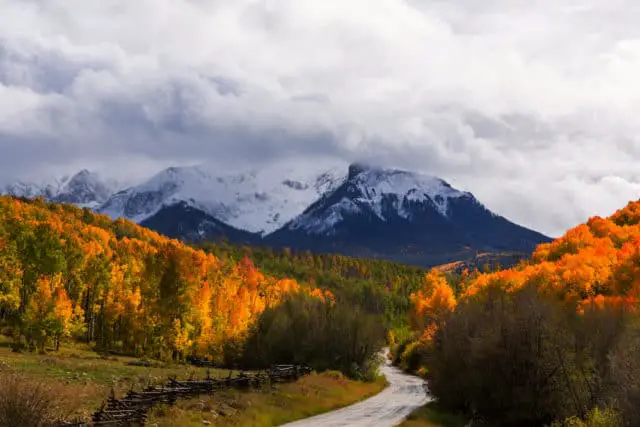 Road with trees in autumn foliage on either side, leading towards snow capped mountains