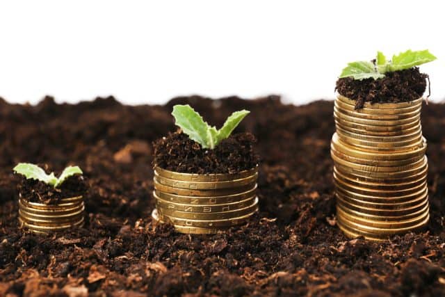 golden coins in soil with young plants on a bed of soil