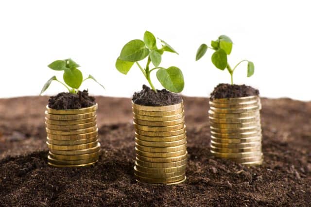Golden coins in soil with young plant.