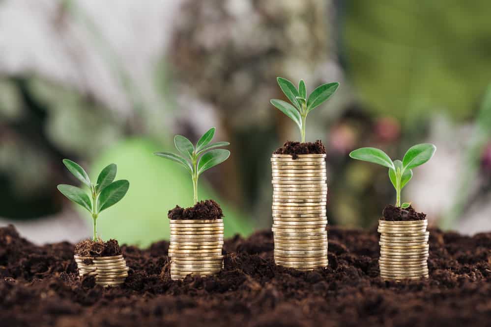 different piles of coins with seedlings growing on top